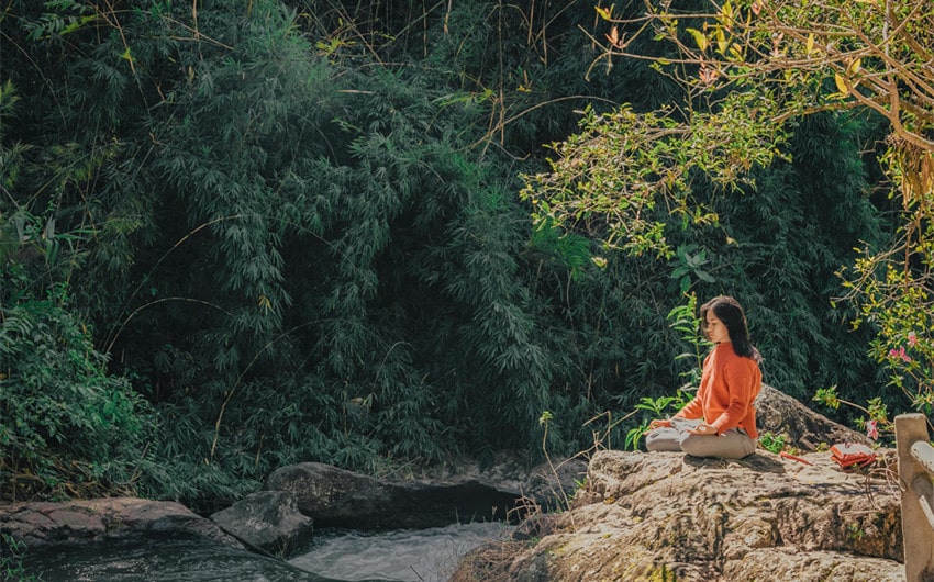 Collecting as a Form of Meditation