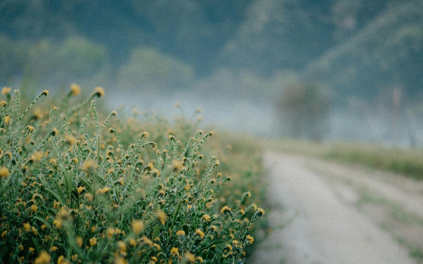 Slowing Down Enough to See