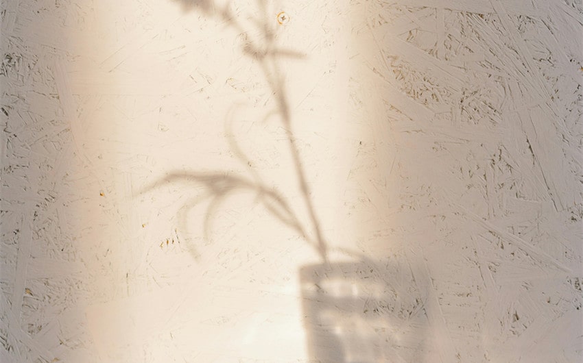 The Art of Observing Details