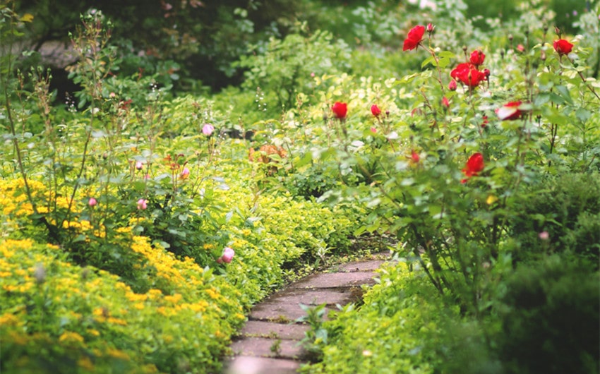 The Joy of Noticing the Overlooked